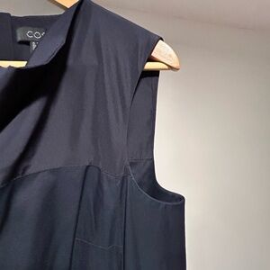 COS Navy Blue Cowl Neck Dress